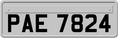 PAE7824