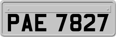 PAE7827