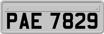PAE7829