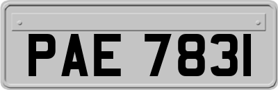 PAE7831