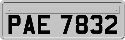 PAE7832