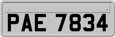 PAE7834