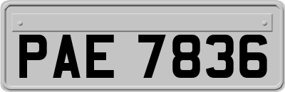 PAE7836