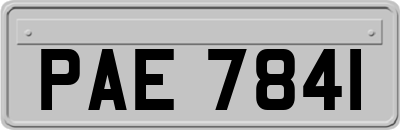 PAE7841