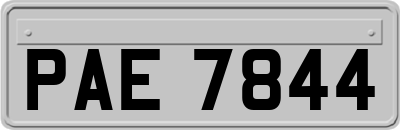 PAE7844