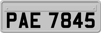 PAE7845