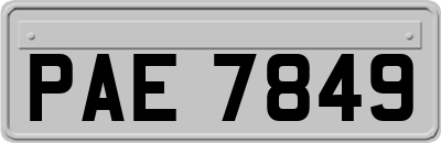 PAE7849