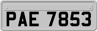 PAE7853