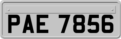 PAE7856