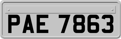 PAE7863