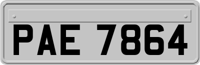 PAE7864