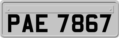 PAE7867