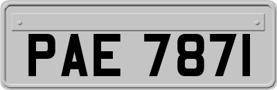 PAE7871