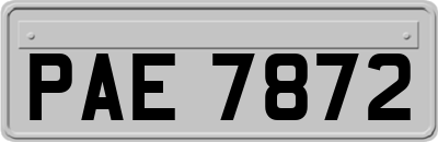 PAE7872