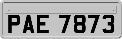 PAE7873