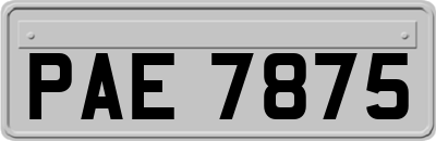 PAE7875