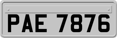 PAE7876