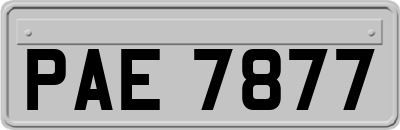 PAE7877
