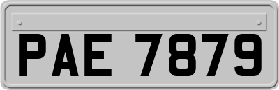 PAE7879