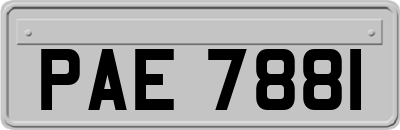 PAE7881