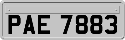 PAE7883