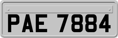 PAE7884
