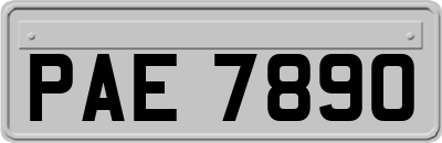 PAE7890