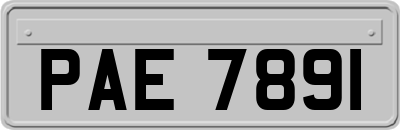 PAE7891
