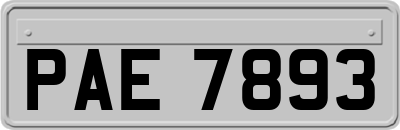 PAE7893