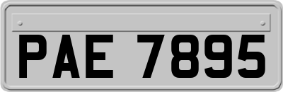 PAE7895