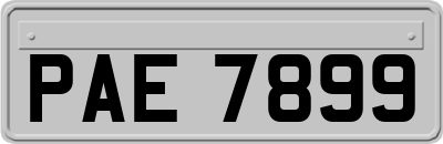 PAE7899
