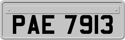 PAE7913