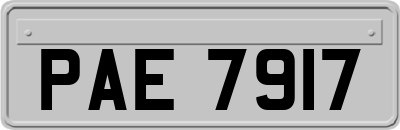 PAE7917