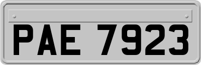 PAE7923