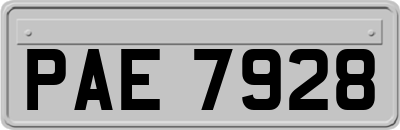 PAE7928