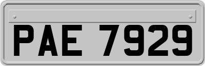 PAE7929