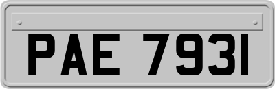 PAE7931