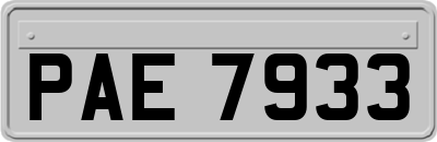 PAE7933