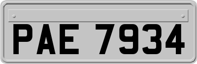 PAE7934