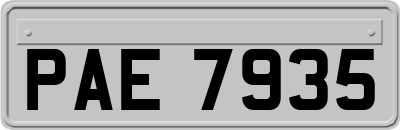PAE7935