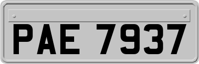 PAE7937