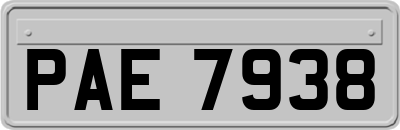 PAE7938