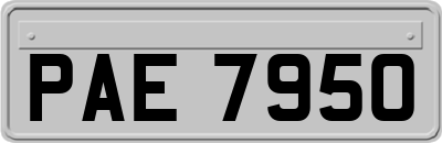 PAE7950