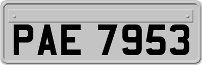 PAE7953