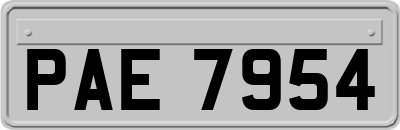PAE7954