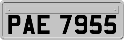 PAE7955