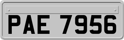 PAE7956
