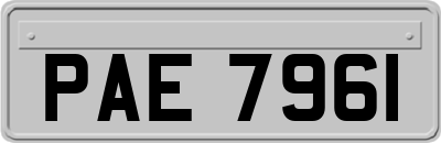 PAE7961
