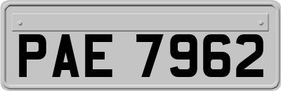 PAE7962