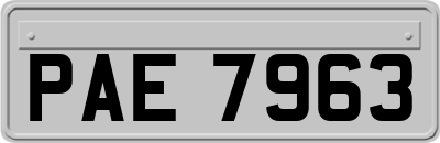 PAE7963